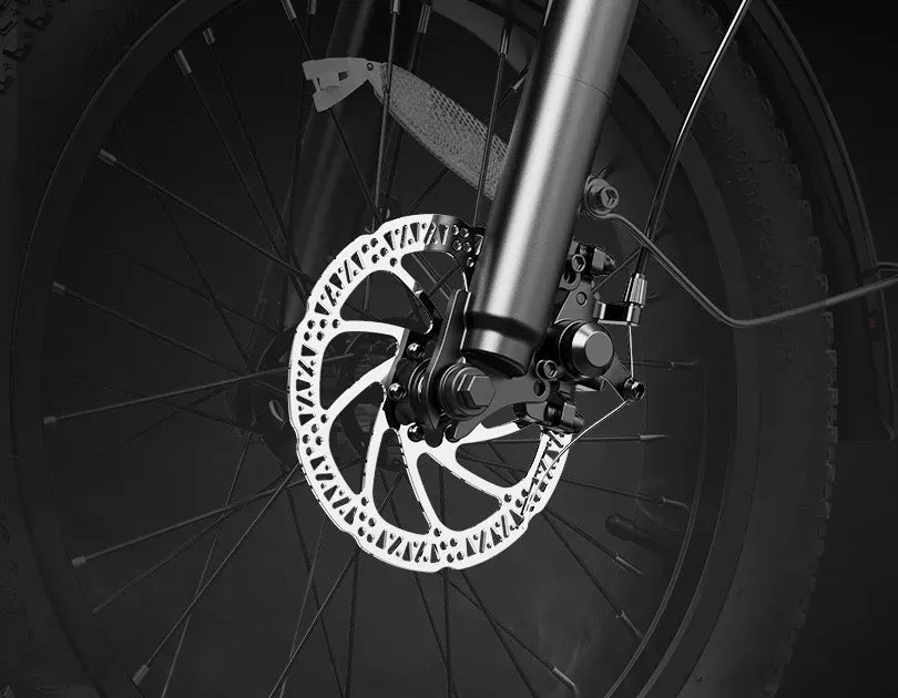 Helokeep CM20 folding fat tire electric bike with 750W motor and 20-inch tires