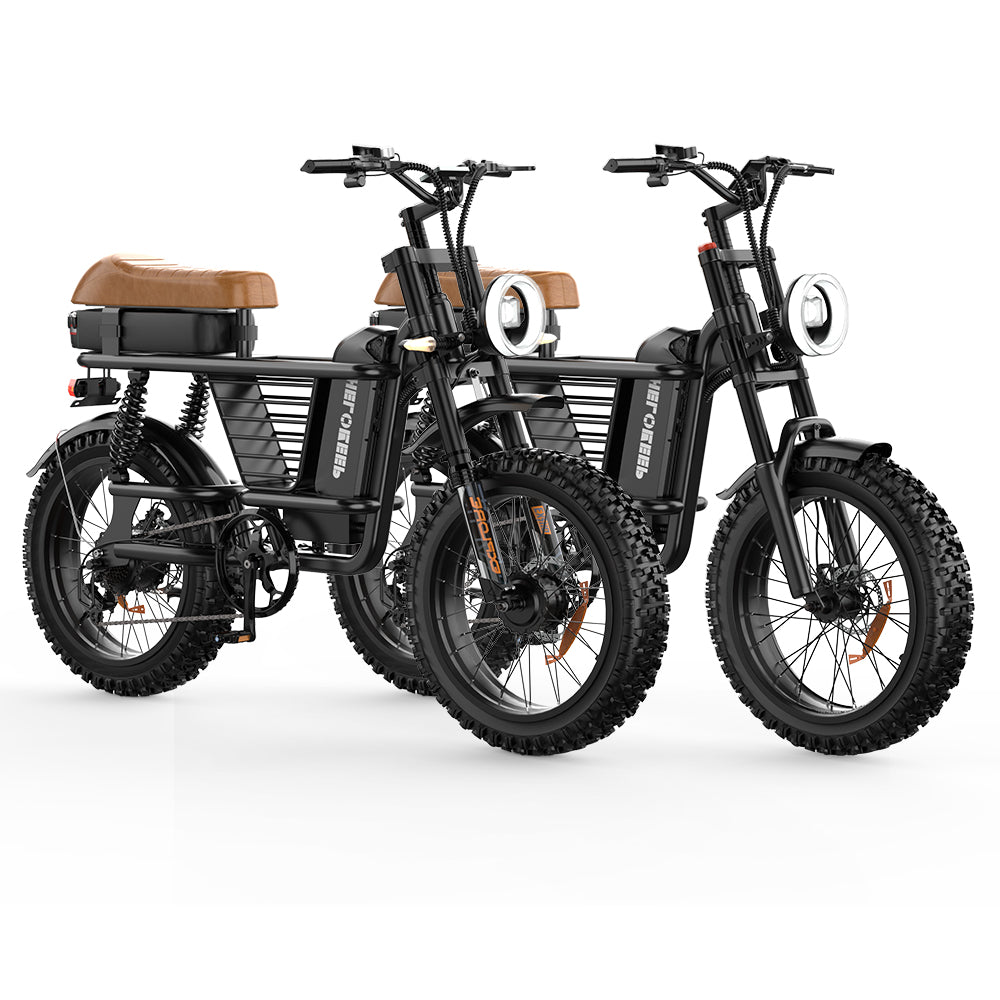 ME Cargo Ebike Combo Sale