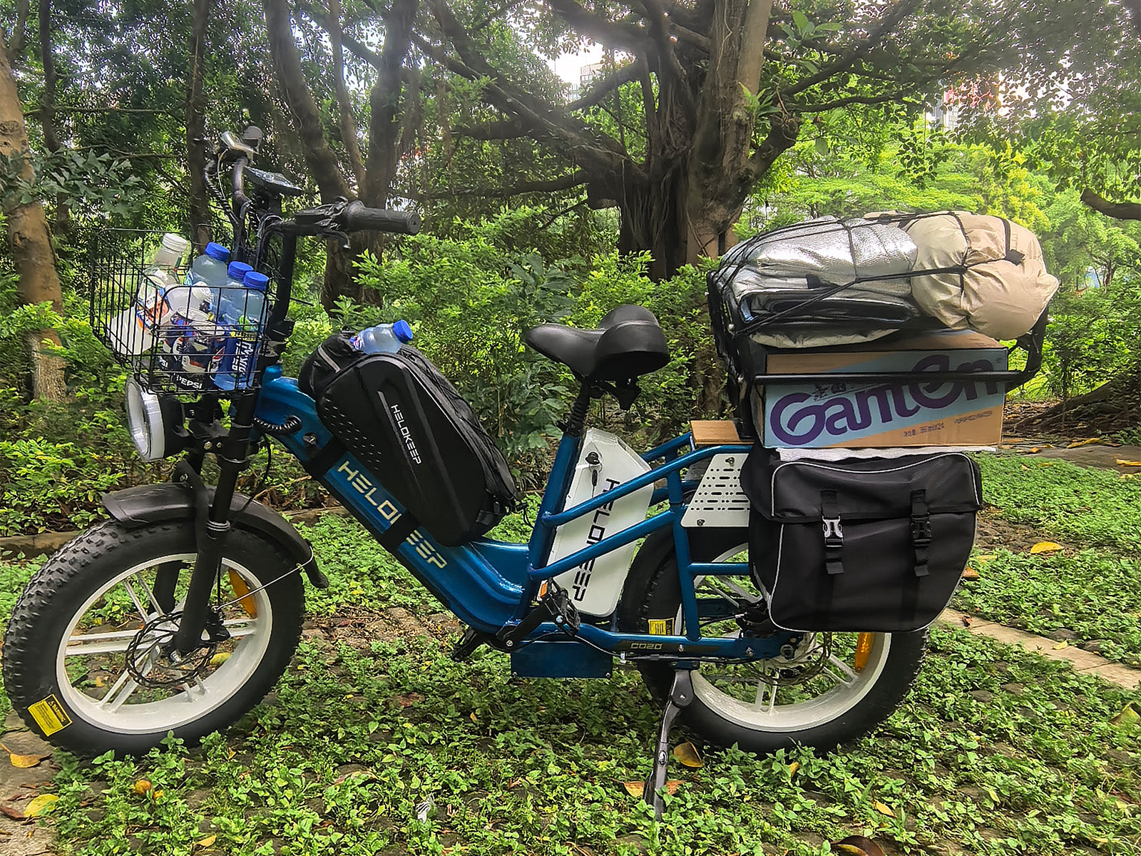 Helokeep CD20 Long-Range Cargo Electric Bike