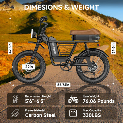 ME Cargo Ebike Combo Sale