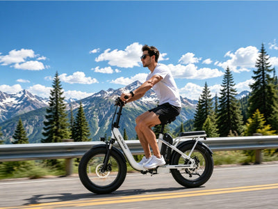Helokeep COCO U Folding Electric Bike