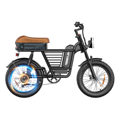 ME Cargo Ebike Combo Sale