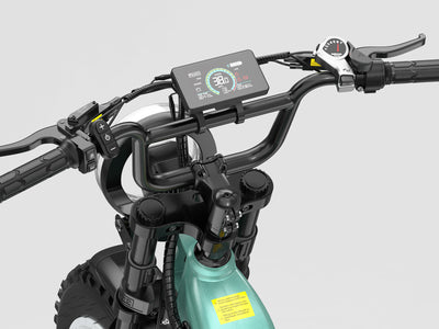 Helokeep CD20 Cargo Electric Bike - Mega Bundle Edition