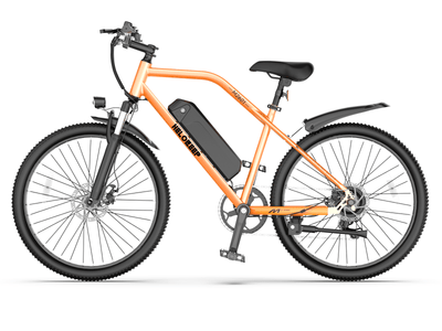 Helokeep M2601 classic commuter e-bike with 750W motor and 26-inch wheels