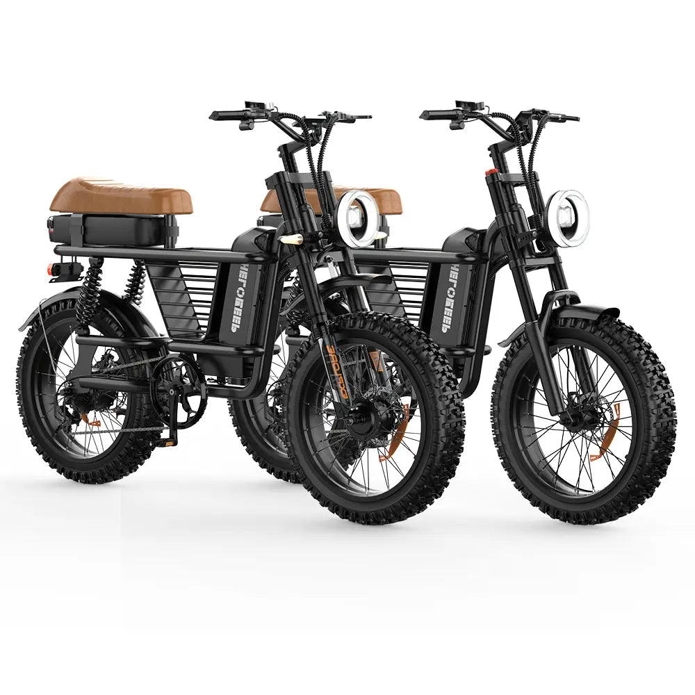 ME Cargo Ebike Combo Sale