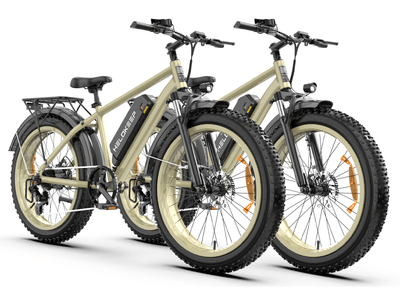 Helokeep 26P Electric Mountain Bike*2
