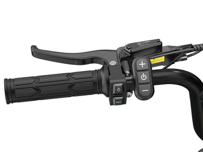 -Helokeep CD20 Long-Range Cargo Electric Bike - Helokeep