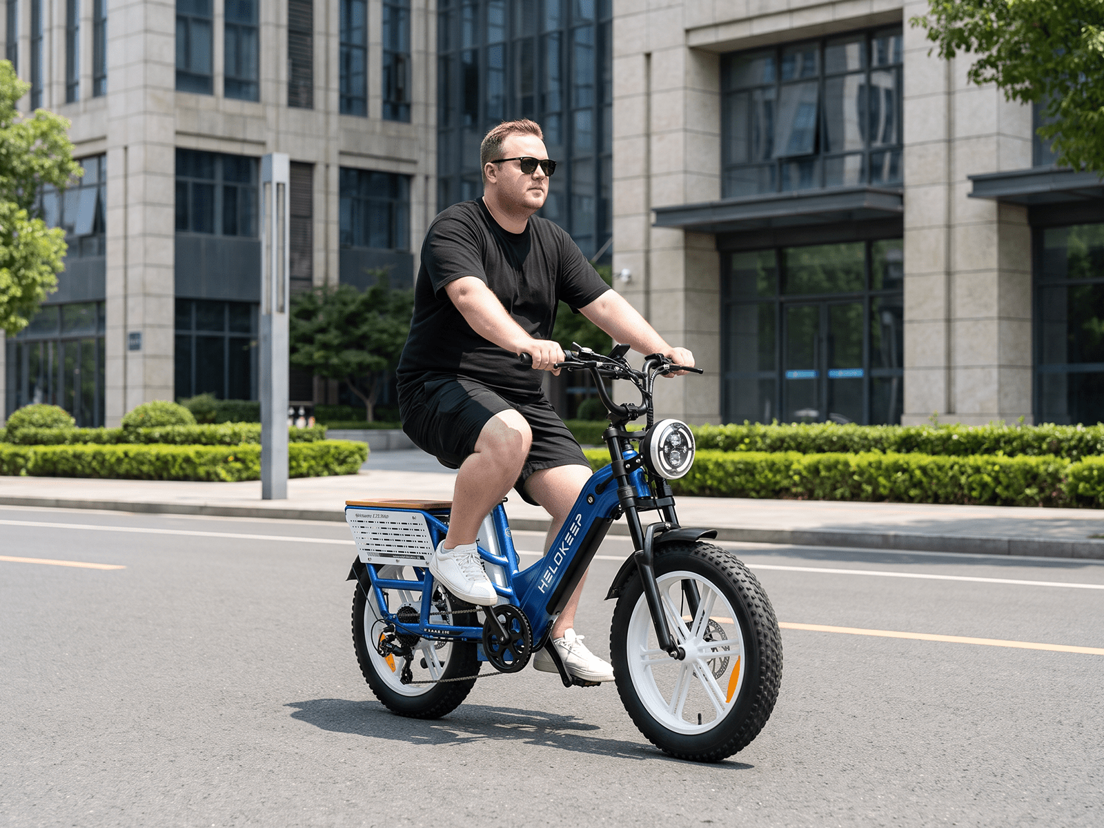 -Helokeep CD20 Long-Range Cargo Electric Bike - Helokeep