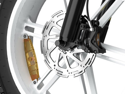 -Helokeep CD20 Long-Range Cargo Electric Bike - Helokeep