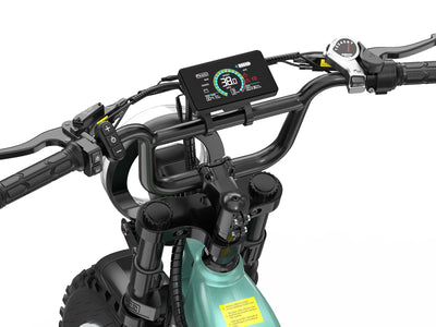 -Helokeep CD20 Long-Range Cargo Electric Bike - Helokeep