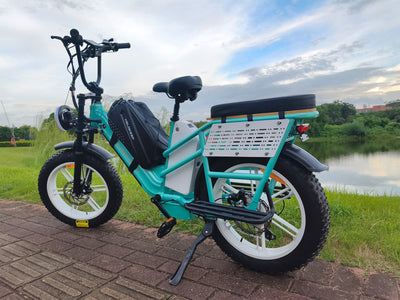 Helokeep CD20 Cargo Electric Bike - Mega Bundle Edition