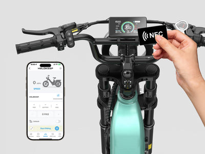 Helokeep CD20 Cargo Electric Bike - Mega Bundle Edition