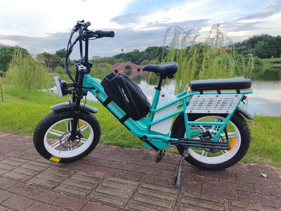 Helokeep CD20 Cargo Electric Bike - Mega Bundle Edition