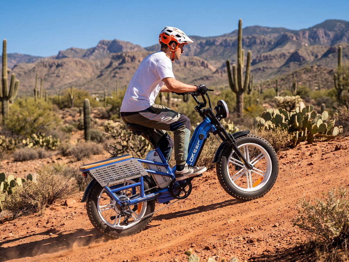 Helokeep CD20 Cargo Electric Bike - Mega Bundle Edition