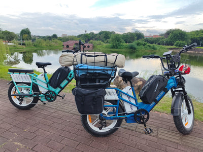 Helokeep CD20 Cargo Electric Bike - Mega Bundle Edition