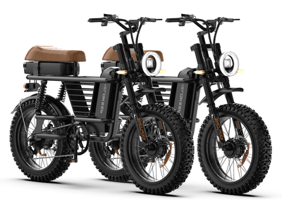 Helokeep ME-T  Dual-Motor Electric Bike for Adults *2